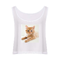 ÎÏÎ½Î±Î¹ÎºÎµÎ¯Î¿ Crop Top